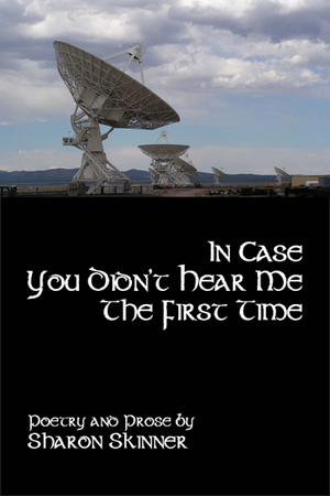 In Case You Didn't Hear Book Cover.png